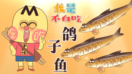 我是不白吃 第三季 224集