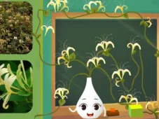 田小艾幼儿识字：花朵篇 7集