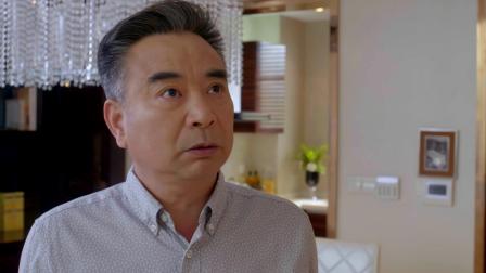 奶爸当家 29集