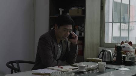 我爱你深圳之电子人的使命 14集