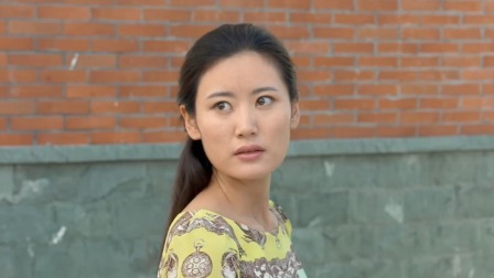 龙门村的故事 15集