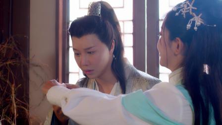丑女医妃 13集