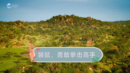 动物特攻队 4集