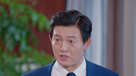 湾区儿女 34集