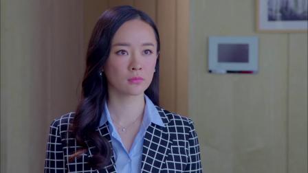 再见，老婆大人 31集