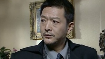 对攻 15集
