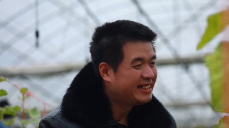 破产女总裁&middot;回乡当村长 10集