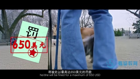 十二生肖 11集