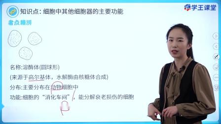 学王课堂 人教版高中生物学必修1（分子与细胞） 12集