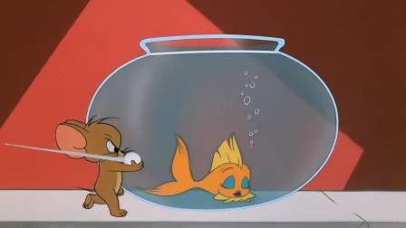 猫和老鼠猫咪大作战 16集