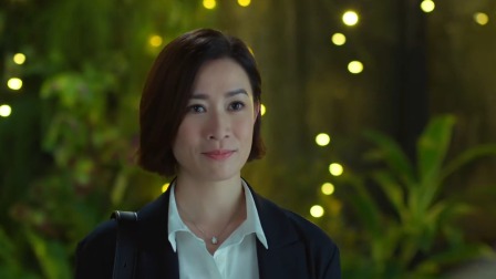 家族荣耀之继承者 30集