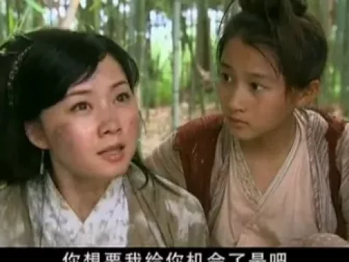怪侠一枝梅  霍建华版 16集
