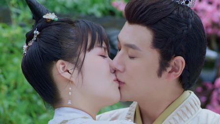 长相如梦令 14集