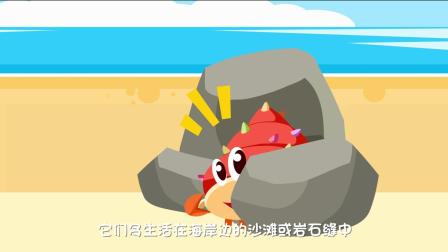和小鹿问问一起玩 213集