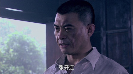 独立纵队 37集