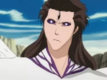 bleach 境&middot;界 决战蓝染篇 54集