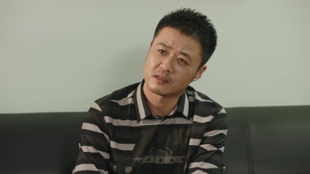 乡村爱情17 38集