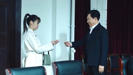 巡回检察组 DVD版 37集