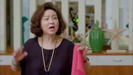 我为儿孙当北漂 8集