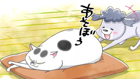与汪汪喵喵同居的开心日常 16集