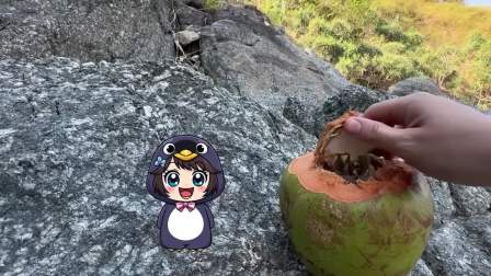 我的节奏人朋友 263集