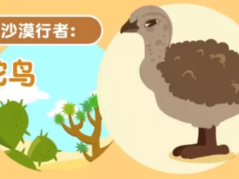 超萌动物园 新奇动物大派对 5集