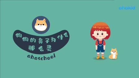 麦奇的为什么 百科动物篇 12集