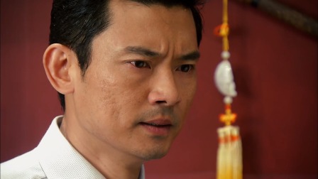 浮尘下的枪声 20集