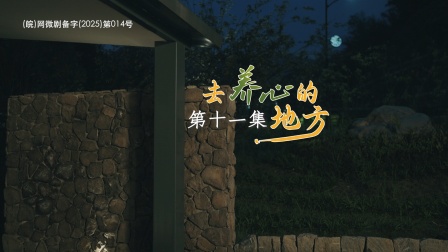 去养心的地方 11集