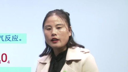 初中化学 九年级下册化学初三人教版2021 2集
