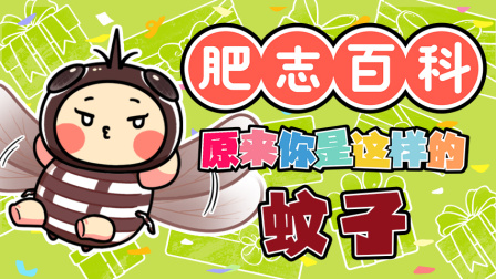 肥志百科 第13季 4集