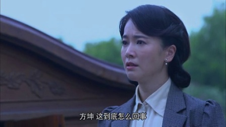 我的绝密生涯 33集