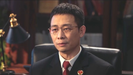 以法之名 31集