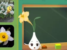 田小艾幼儿识字：花朵篇 11集