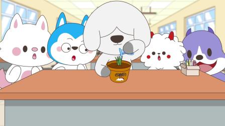 哈小浪上学记第5季 9集