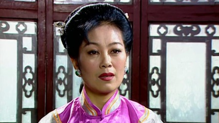 扬州八怪 10集