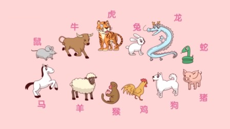 小小鲨科学课堂 大班 21集
