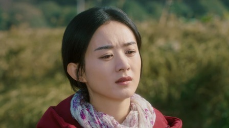 幸福到万家 9集
