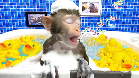 小猴子多多 13集