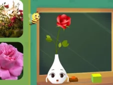 田小艾幼儿识字：花朵篇 2集