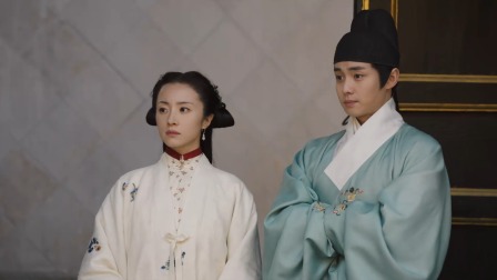 锦囊妙录 10集