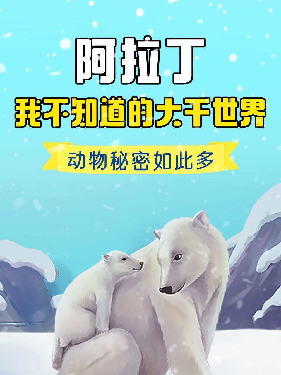 阿拉丁·我不知道的大千世界