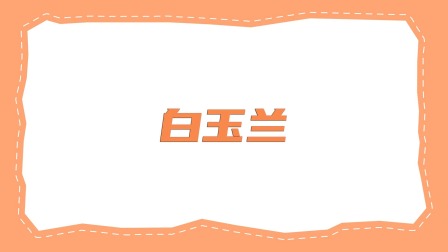 智绘贝壳画 1集