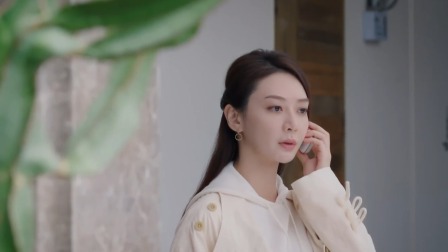 星星的故乡 13集