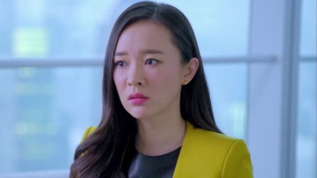 再见，老婆大人 30集