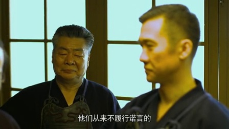 我的绝密生涯 24集