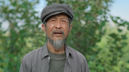 枫叶红了 4集