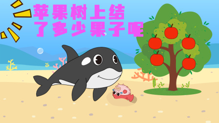鹿小小识动物 362集