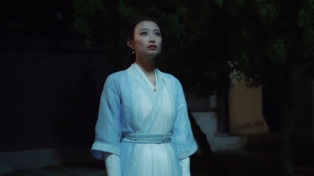 绯闻王妃 18集
