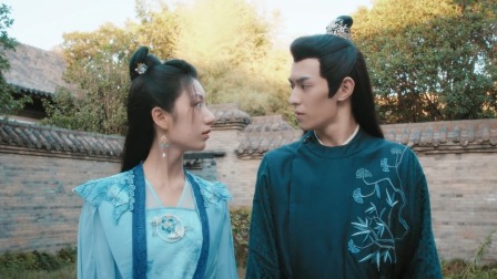 我才不要当王妃 15集